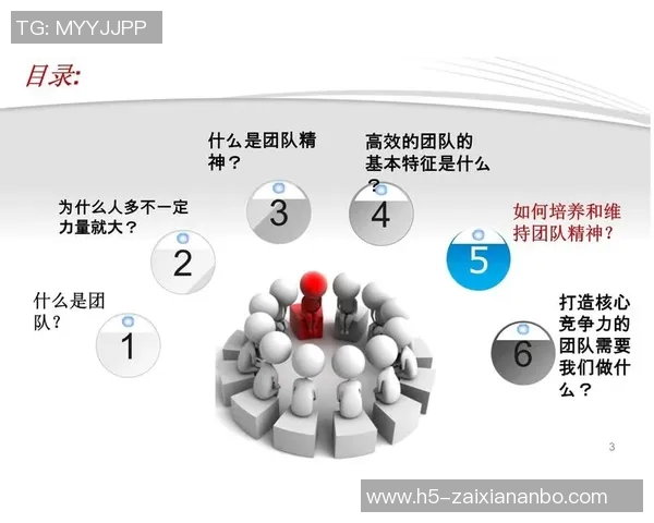2026年3月份新闻杭州足球队团队协作的成功秘诀与未来发展探讨